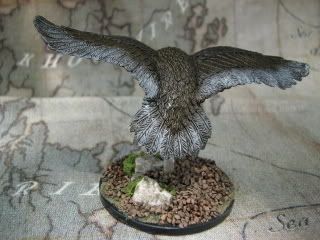 owl-back.jpg