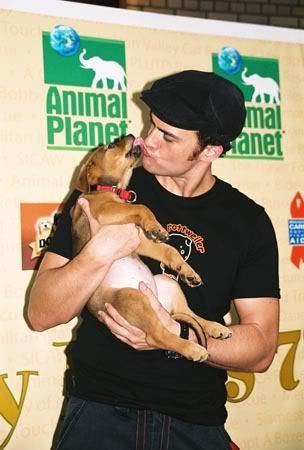 re: Gays and Lesbians Welcome - BUT No Communion!