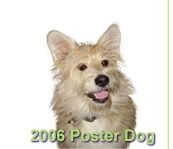 Happy Take Your Dog to Work Day!