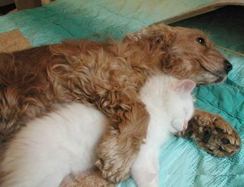 Who wants to cuddle?