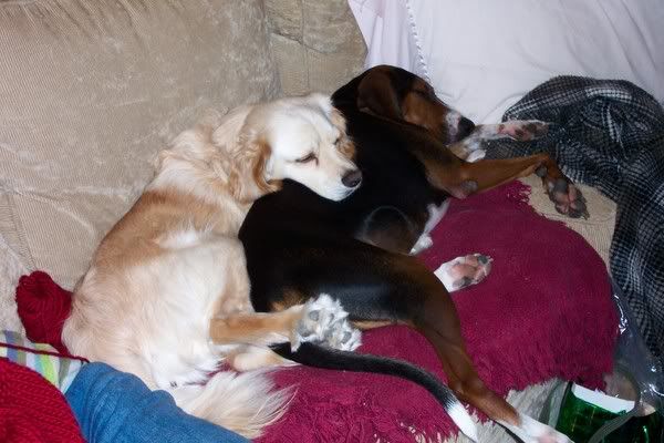 re: What is the best kind of spoon there is?