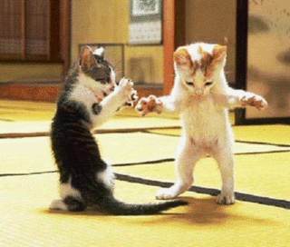 cid_016201c7df232913ee90780aa8c0Che.gif