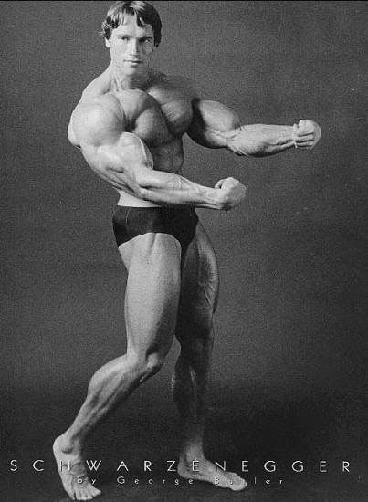arnold schwarzenegger bodybuilding_4583. Arnold and Bolo Yeung.