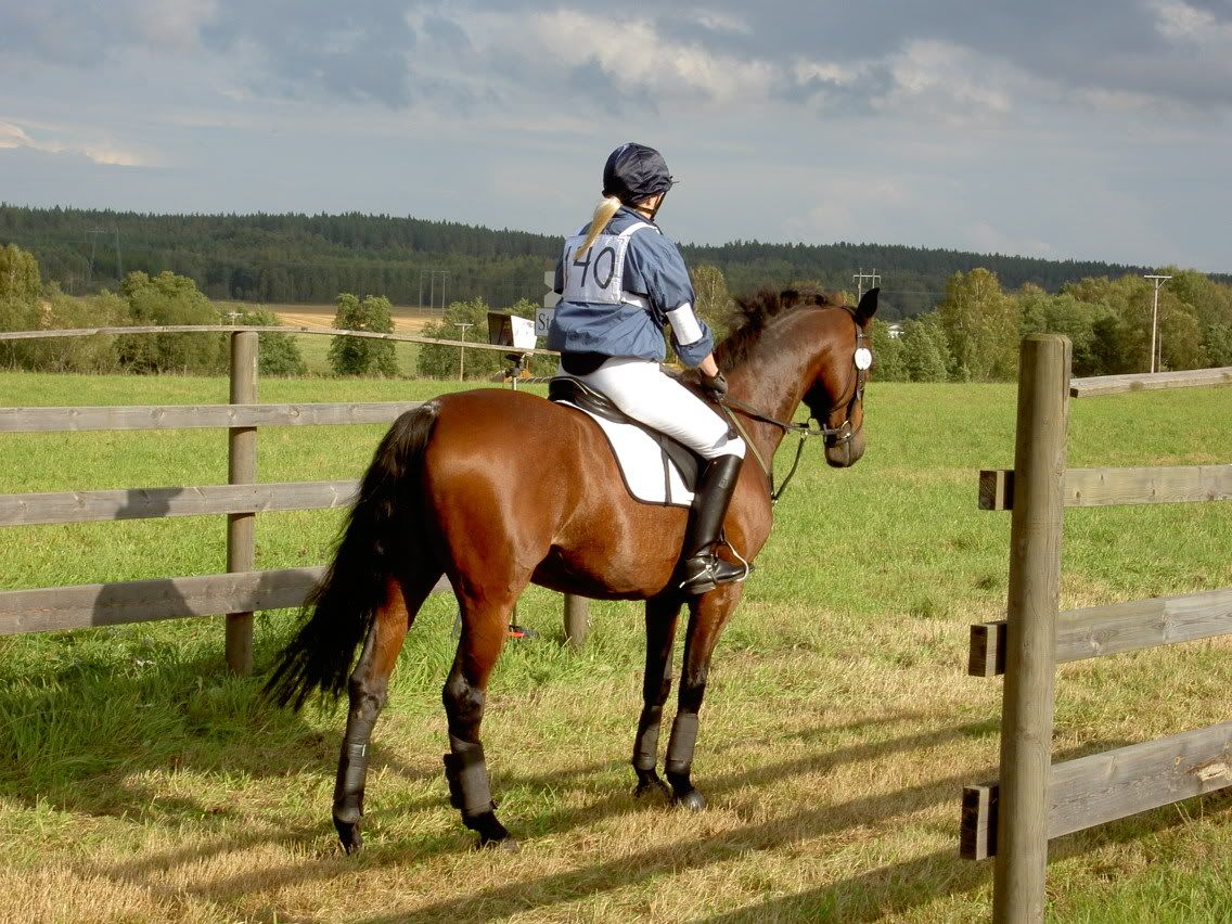 BoxholmochVartofta2004020.jpg