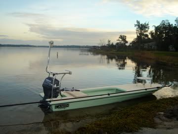 Sissy Bar for Poling Platform - General Forum 