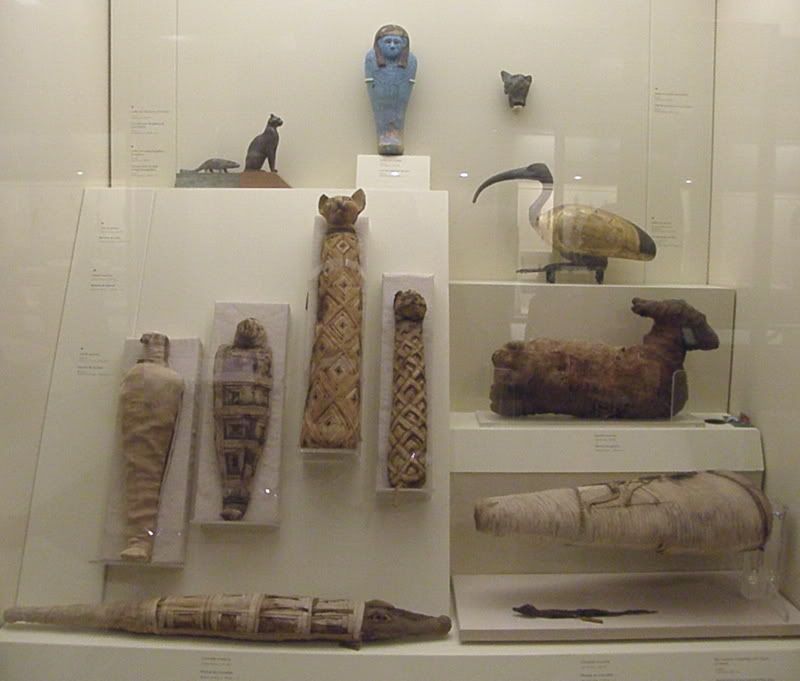 Our Anniversary Trip - Countryside Families