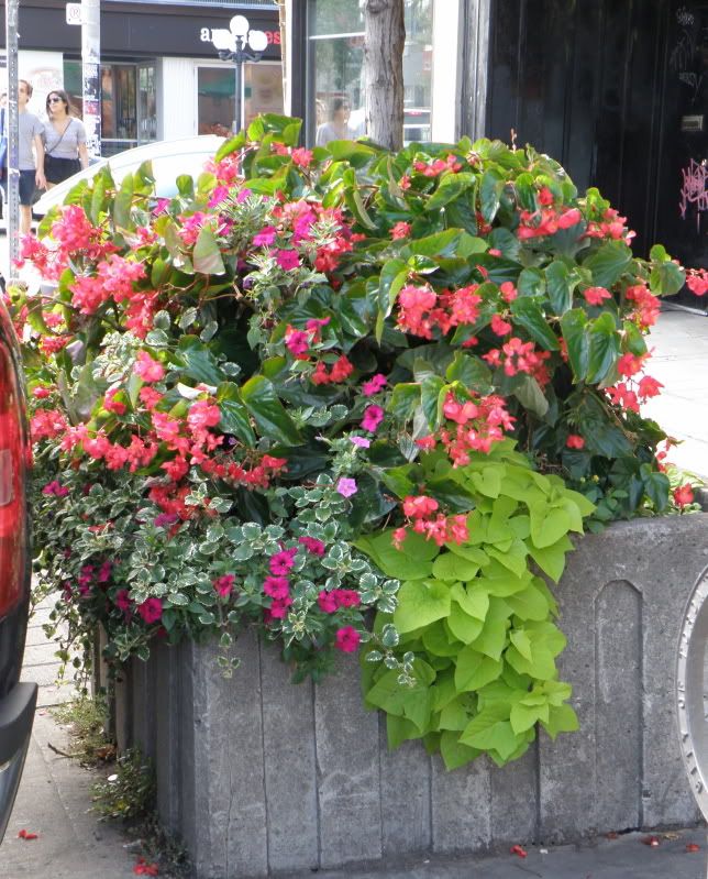 Our Anniversary Trip - Countryside Families