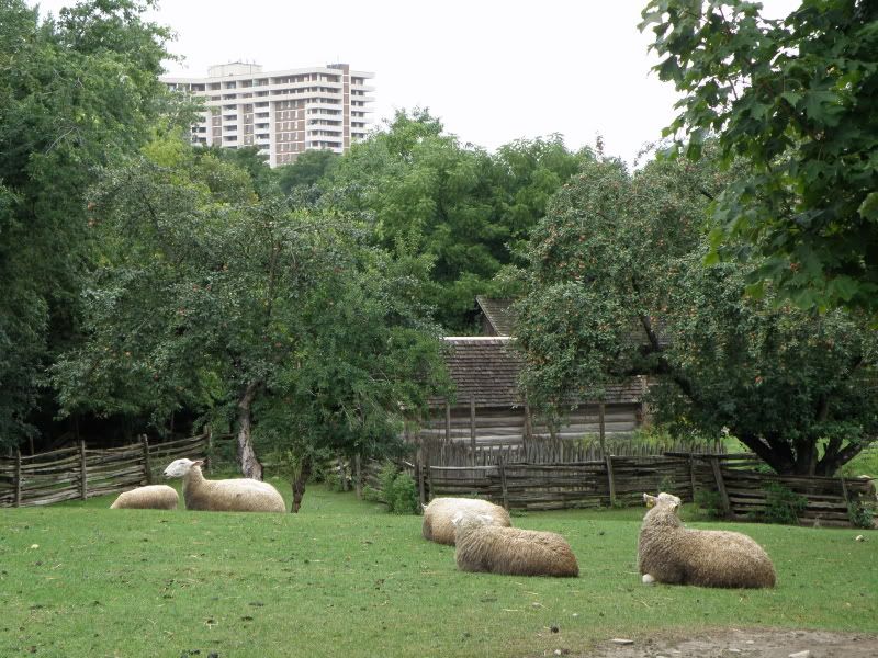 Our Anniversary Trip - Countryside Families