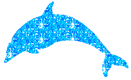 dolphin