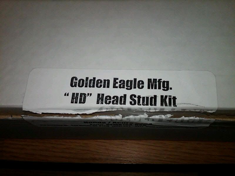 golden eagle head. Golden Eagle Head stud kit