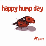 HUMP DAY Pictures, Images and Photos
