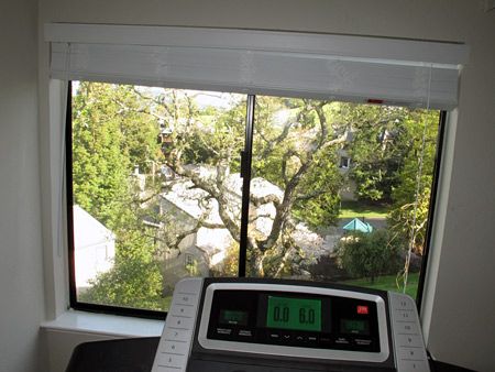 treadmill-view.jpg