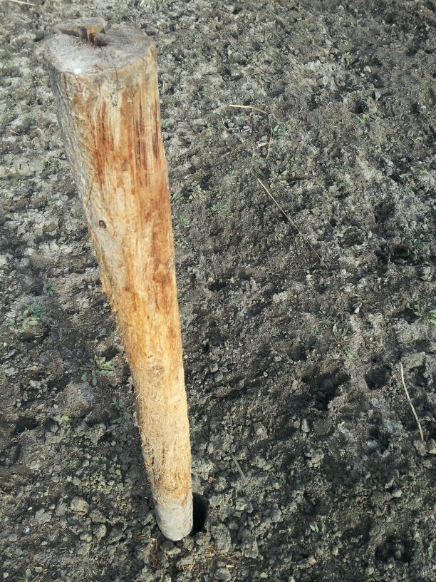 Installed my own rubbing post Archery Talk Forum