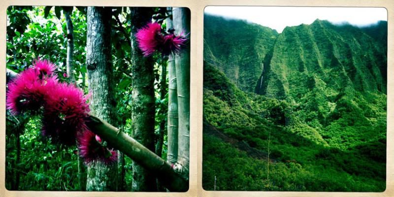 photo kalalau11_zps66dcdc9d.jpg