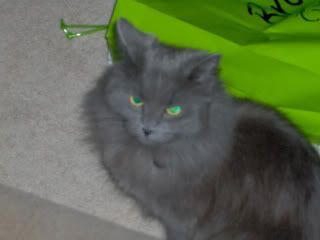 Picture007.jpg