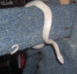 Picture015.jpg