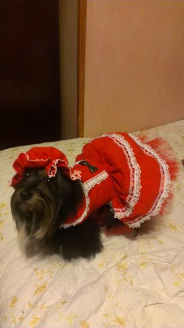 Miss Dolly photo MarilynMuttroe5_zpse1c414d1.jpg