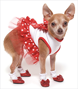 Glittery  Shoes on Ruby Red Glitter Dog Shoes