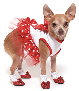 Glittery Shoes on Ruby Red Glitter Dog Shoes