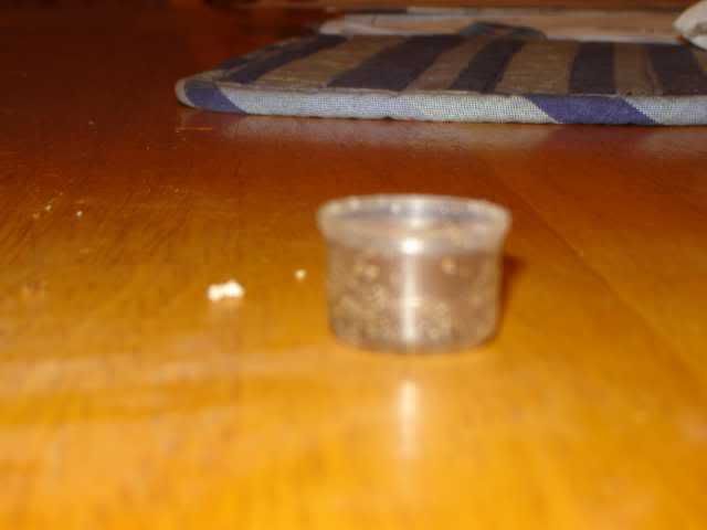 DSC00290.jpg