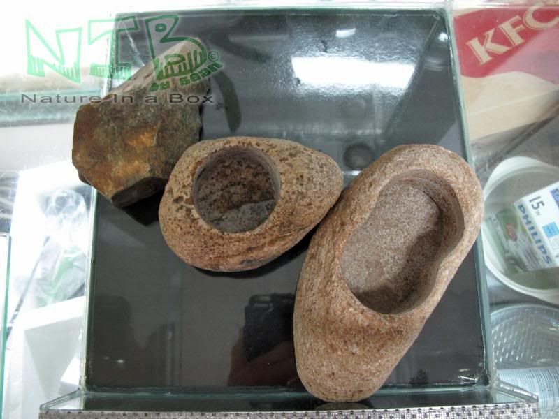 圖檔