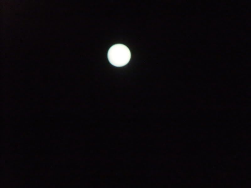 1103190027.jpg
