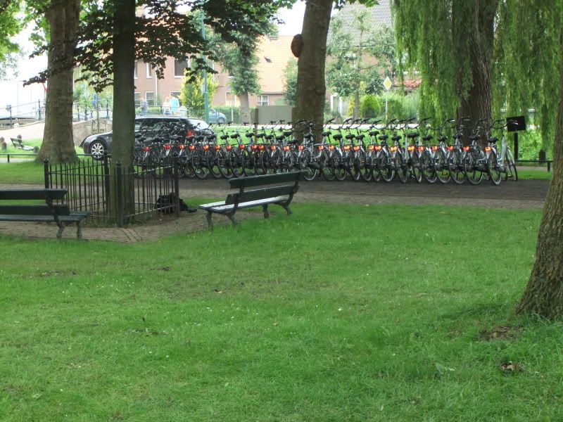 DSCF1393.jpg