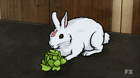 archer rabbit rabbert photo rabbetkline.gif
