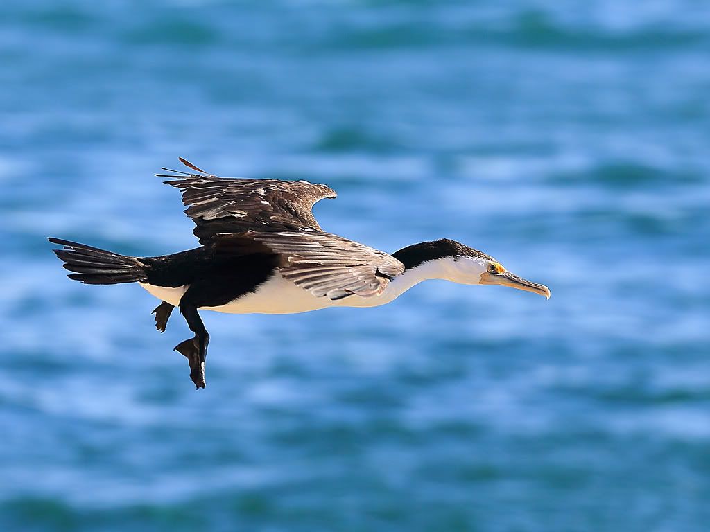 IMAGE: http://i81.photobucket.com/albums/j226/lannes2007/IMG_1356.jpg