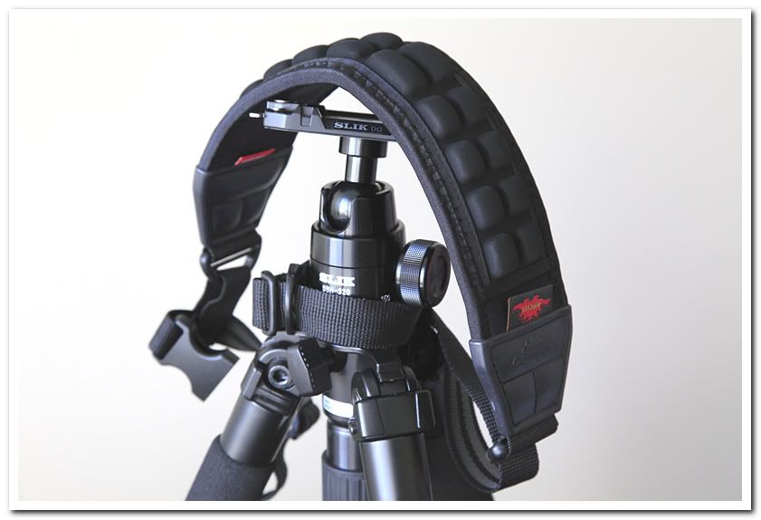 IMAGE: http://i81.photobucket.com/albums/j226/lannes2007/IMG_6049.jpg