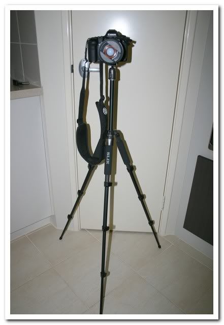 IMAGE: http://i81.photobucket.com/albums/j226/lannes2007/IMG_7857.jpg