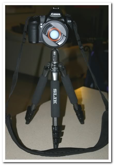 IMAGE: http://i81.photobucket.com/albums/j226/lannes2007/IMG_7863.jpg