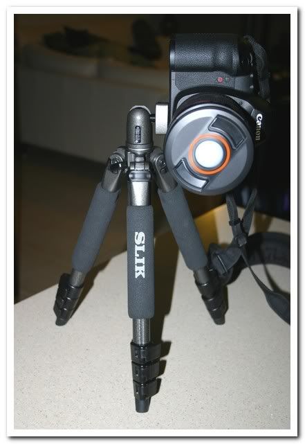 IMAGE: http://i81.photobucket.com/albums/j226/lannes2007/IMG_7865.jpg