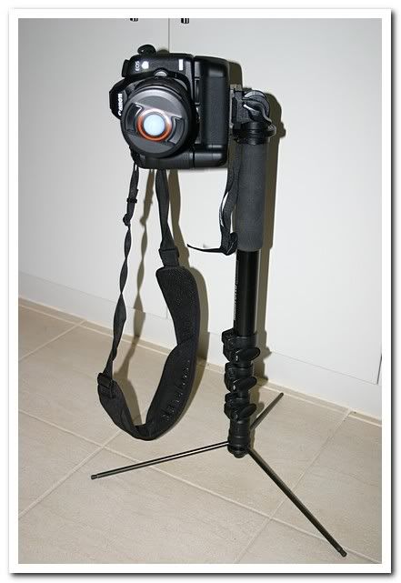 IMAGE: http://i81.photobucket.com/albums/j226/lannes2007/IMG_7915.jpg