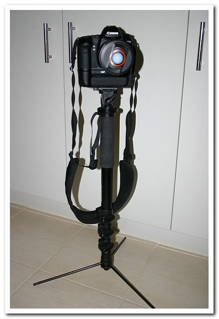 IMAGE: http://i81.photobucket.com/albums/j226/lannes2007/IMG_7917.jpg