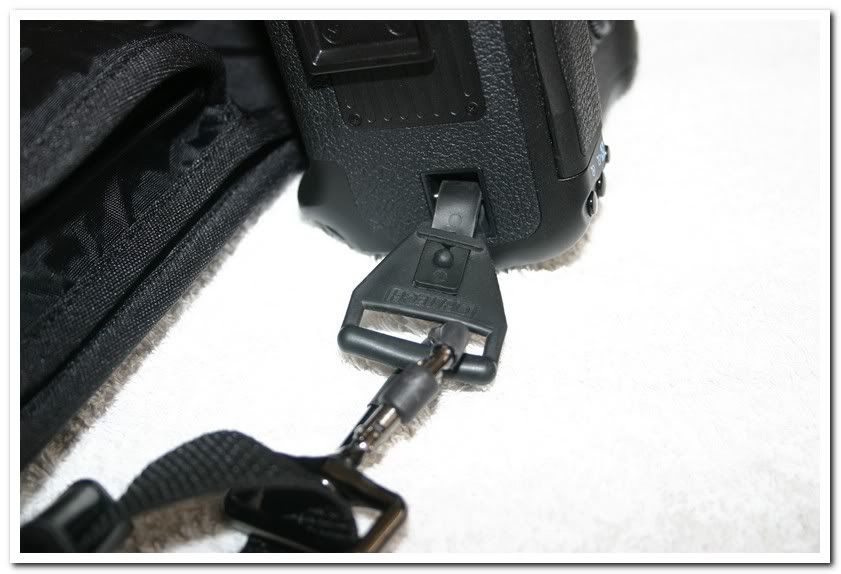 IMAGE: http://i81.photobucket.com/albums/j226/lannes2007/IMG_7934.jpg