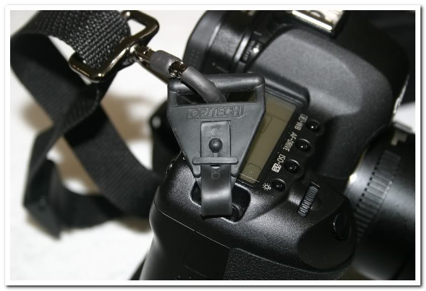 IMAGE: http://i81.photobucket.com/albums/j226/lannes2007/IMG_7935.jpg