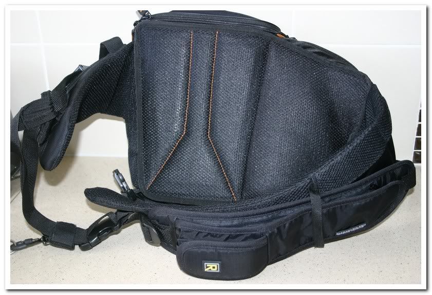 IMAGE: http://i81.photobucket.com/albums/j226/lannes2007/IMG_7978.jpg