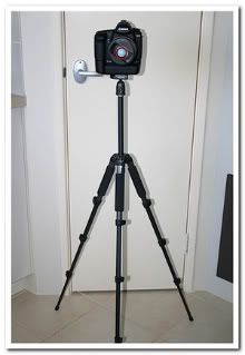 IMAGE: http://i81.photobucket.com/albums/j226/lannes2007/IMG_8061-1-1.jpg