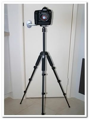 IMAGE: http://i81.photobucket.com/albums/j226/lannes2007/IMG_8061-1.jpg