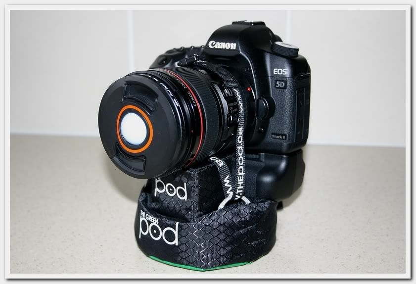 IMAGE: http://i81.photobucket.com/albums/j226/lannes2007/IMG_8065.jpg