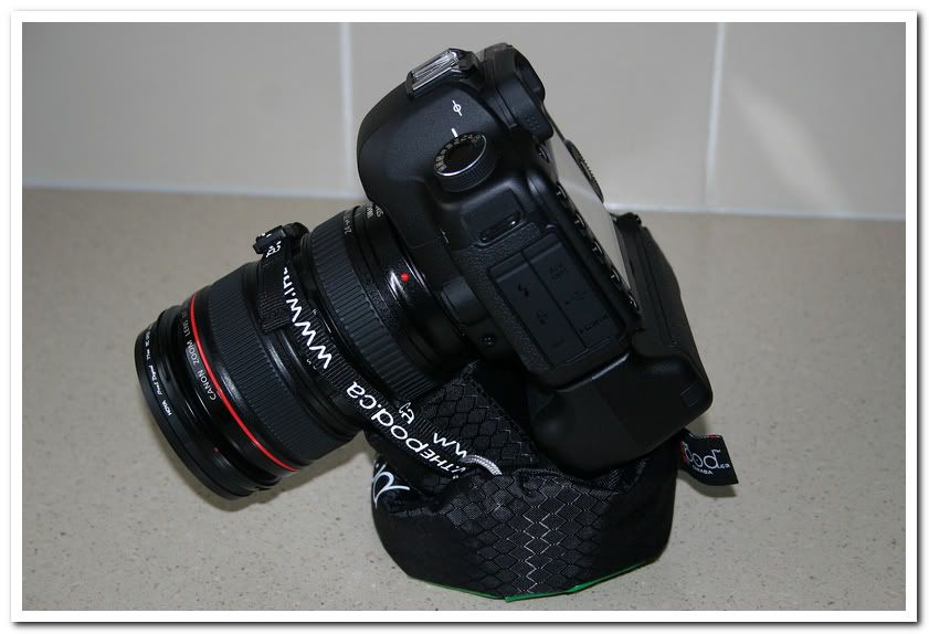 IMAGE: http://i81.photobucket.com/albums/j226/lannes2007/IMG_8067.jpg