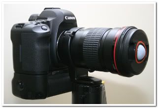 IMAGE: http://i81.photobucket.com/albums/j226/lannes2007/IMG_8136-1.jpg