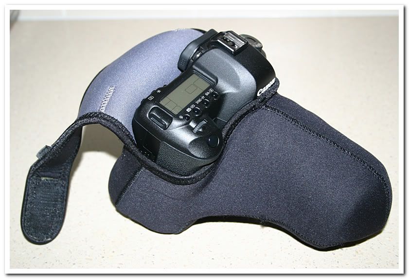 IMAGE: http://i81.photobucket.com/albums/j226/lannes2007/IMG_8156.jpg