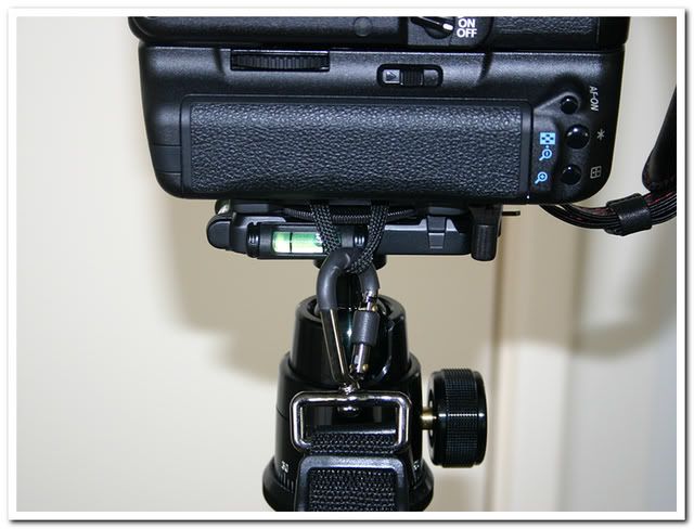 IMAGE: http://i81.photobucket.com/albums/j226/lannes2007/IMG_8820.jpg