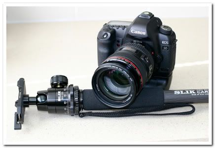 IMAGE: http://i81.photobucket.com/albums/j226/lannes2007/IMG_8888sharpened-1-1.jpg