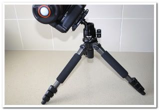 IMAGE: http://i81.photobucket.com/albums/j226/lannes2007/IMG_8918-1.jpg