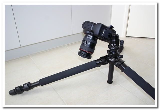 IMAGE: http://i81.photobucket.com/albums/j226/lannes2007/IMG_8946.jpg