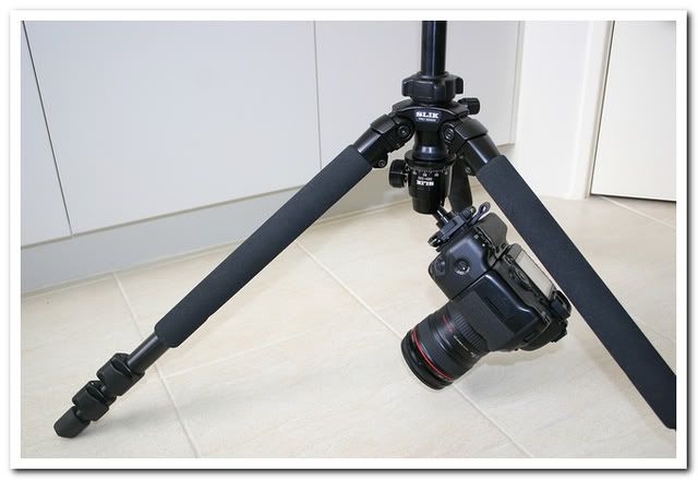 IMAGE: http://i81.photobucket.com/albums/j226/lannes2007/IMG_8947.jpg