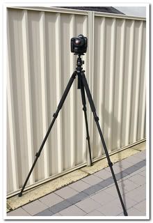 IMAGE: http://i81.photobucket.com/albums/j226/lannes2007/IMG_8949.jpg